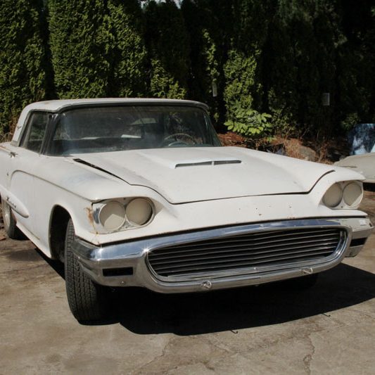 1959 thunderbird front bird nest thunderbird