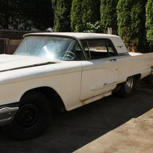 Bird Nest West Linn OR 195866 Thunderbirds for Sale